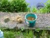 2010052909.jpg