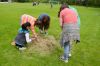 Název souboru=20150531DSC_0068.JPG
Velikost souboru=71KB
Rozměry=700x463
Datum přidání=04. Červenec 2015 20150531DSC_0068.JPG