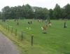 Název souboru=20160529P1010043_2.JPG
Velikost souboru=66KB
Rozměry=700x539
Datum přidání=01. Červen 2016 20160529P1010043_2.JPG
