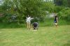 Název souboru=20160604_014.JPG
Velikost souboru=84KB
Rozměry=700x466
Datum přidání=06. Červen 2016 20160604_014.JPG