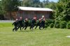 Název souboru=20160828DSC_0184.JPG
Velikost souboru=84KB
Rozměry=700x463
Datum přidání=29. Srpen 2016 20160828DSC_0184.JPG