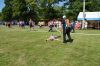 Název souboru=20160828DSC_0301.JPG
Velikost souboru=90KB
Rozměry=700x463
Datum přidání=29. Srpen 2016 20160828DSC_0301.JPG