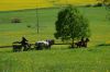 Název souboru=DSC_0509a~0.jpg
Velikost souboru=85KB
Rozměry=700x466
Datum přidání=03. Květen 2018 DSC_0509a~0.jpg