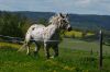 Název souboru=DSC_0515a.jpg
Velikost souboru=63KB
Rozměry=700x466
Datum přidání=03. Květen 2018 DSC_0515a.jpg