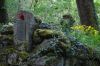 DSC_0586a~0.jpg