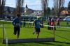 Název souboru=DSC_0614a.jpg
Velikost souboru=80KB
Rozměry=700x466
Datum přidání=03. Květen 2018 DSC_0614a.jpg