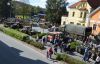 Název souboru=DSC_0686a.jpg
Velikost souboru=91KB
Rozměry=700x454
Datum přidání=03. Květen 2018 DSC_0686a.jpg