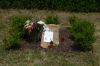DSC_0806a~1.jpg