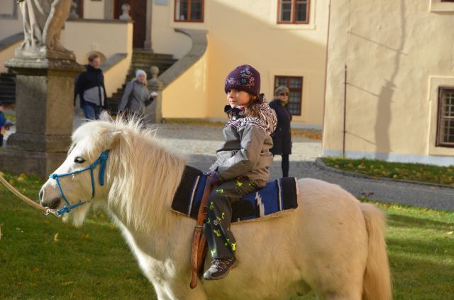 DSC_0585.JPG