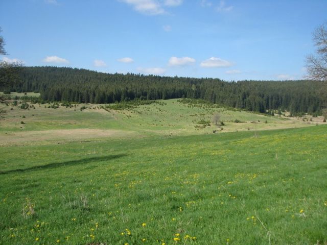 IMG_1792.JPG
