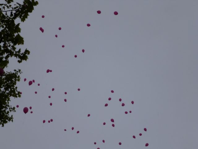 P1000793.JPG