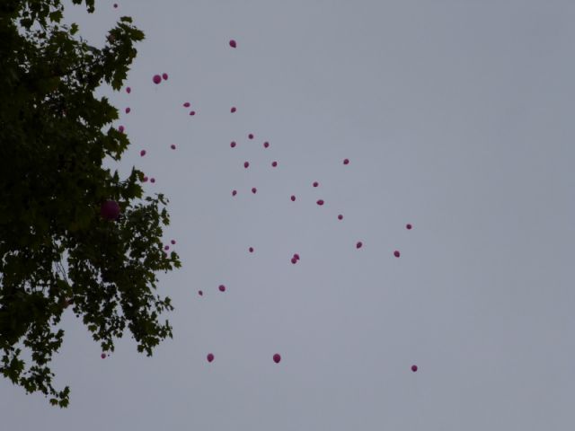 P1000794.JPG