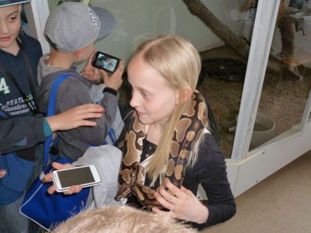 P1010384.JPG