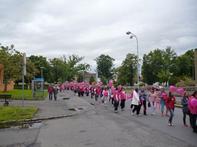 P1020522.JPG