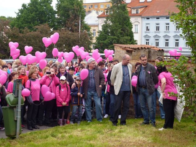 Klikněte pro zobrazení původního (velkého) obrázku