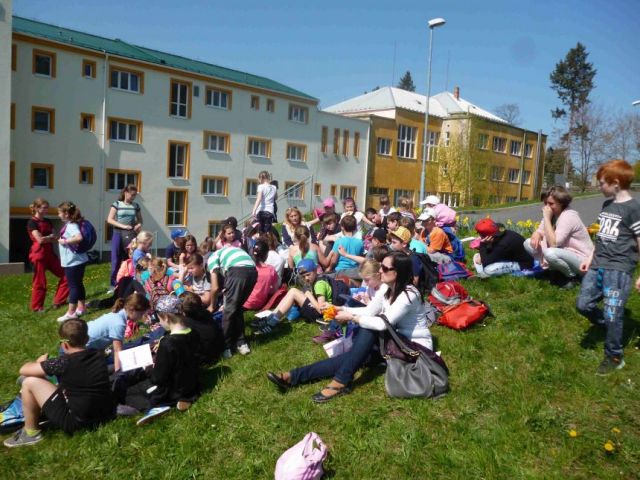 P1050334.jpg