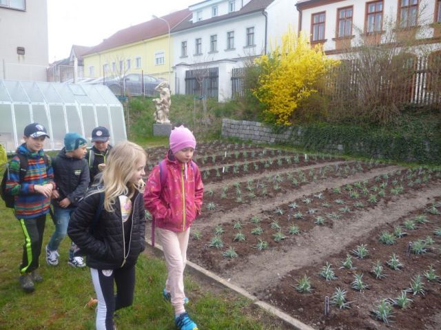 P1050827.JPG