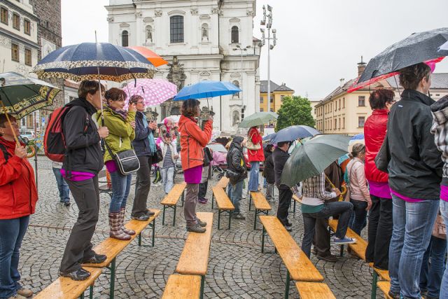 Klikněte pro zobrazení původního (velkého) obrázku