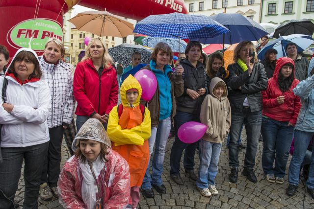 Klikněte pro zobrazení původního (velkého) obrázku