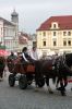 Název souboru=IMG_8157~0.JPG
Velikost souboru=83KB
Rozměry=573x860
Datum přidání=%02. %348 %2017 IMG_8157~0.JPG