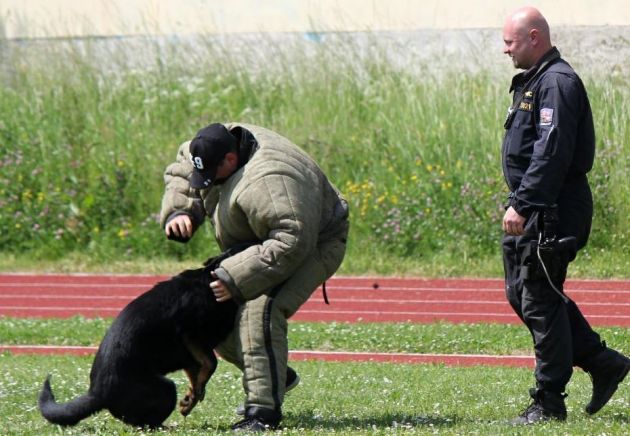 Autor E. Lískovec - www.kulturasusice.cz
