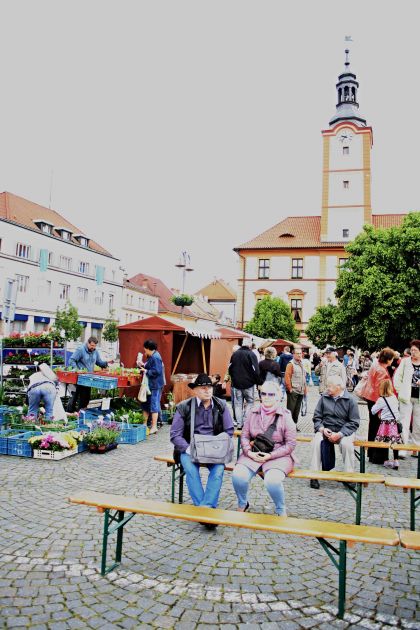 www.kulturasusice.cz


