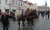 Název souboru=IMG_1102.JPG
Velikost souboru=56KB
Rozměry=630x374
Datum přidání=%19. %405 %2016 IMG_1102.JPG