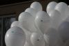 Filename=201233.JPG
Filesize=71KiB
Dimensions=640x427
Date added=Apr 15, 2012 201233.JPG